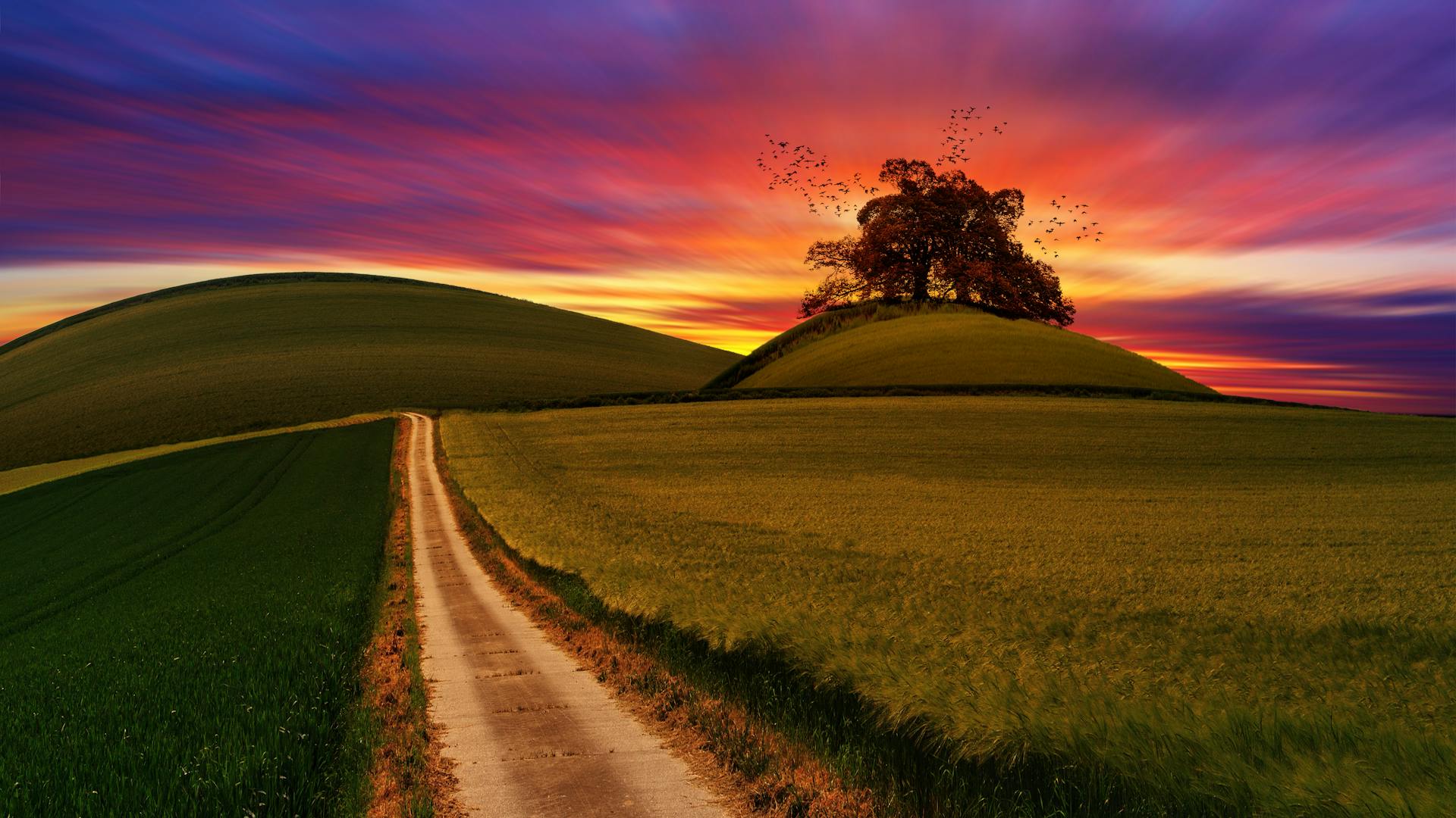 Camino de campo entre montanas